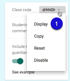 Random Google Classroom Codes 2020