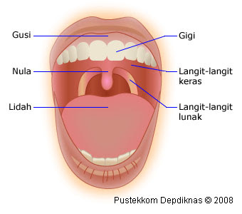 Gambar Mulut dan Bagian-bagiannya