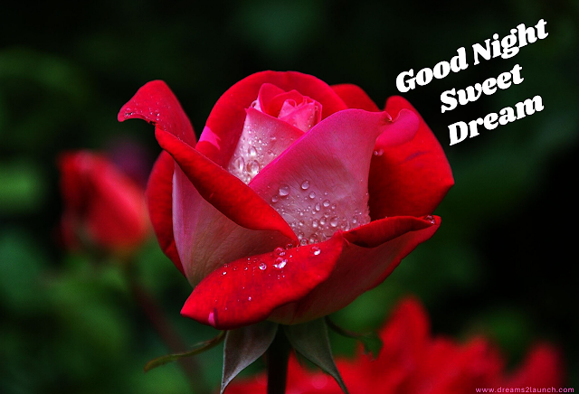 good night pictures images good night pictures images