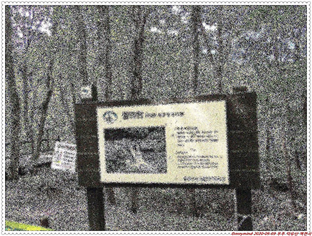 무주 백련사 무주 백련사