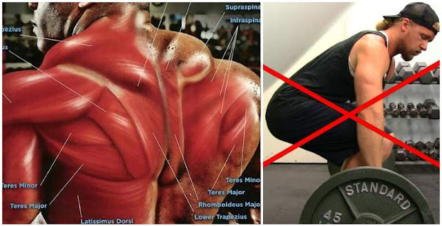 back muscle in gym lingo back muscle in gym lingo
