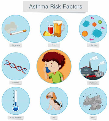 risk factor of asthma