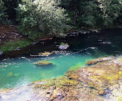 North Umpqua