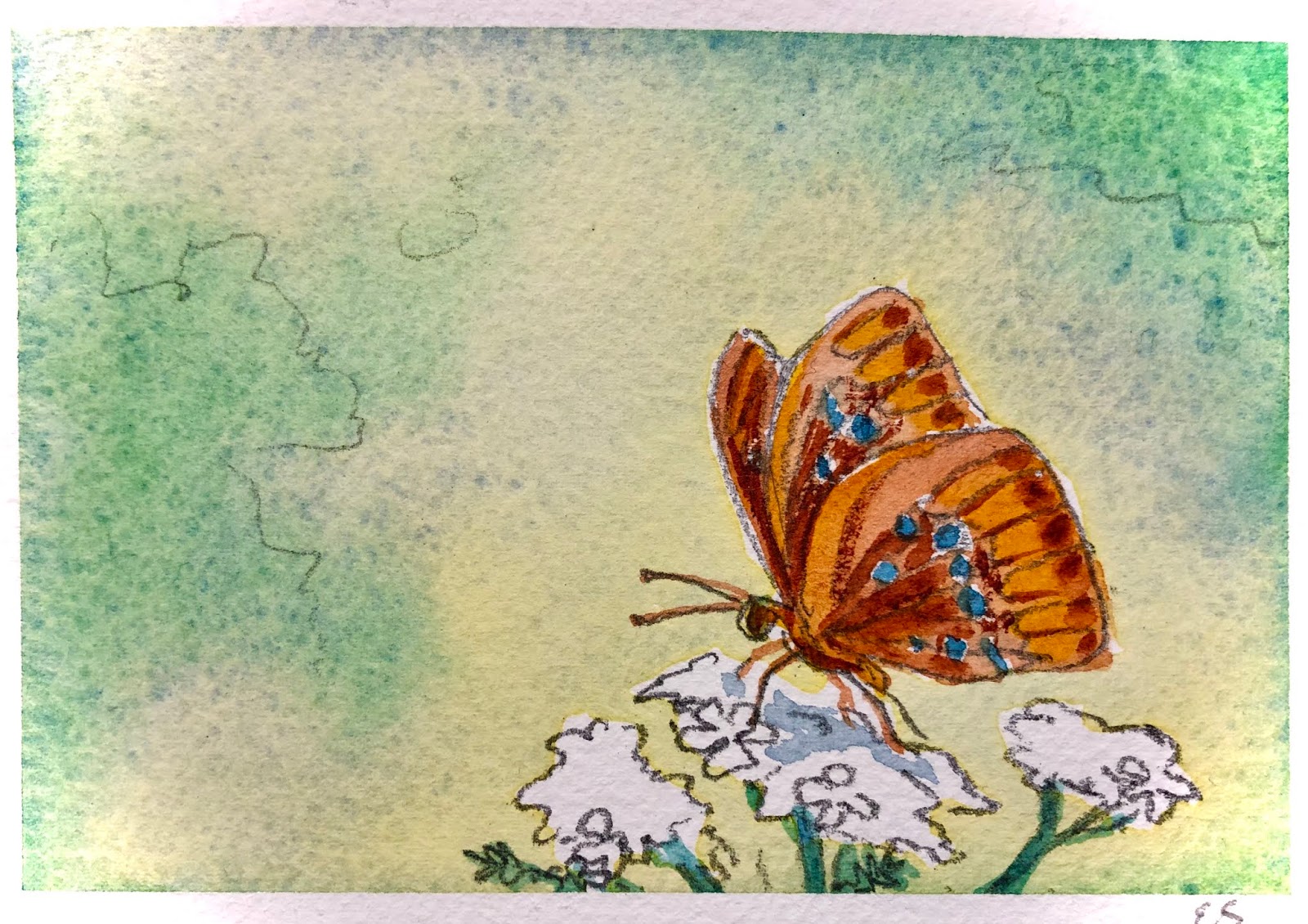 eugene-salandra-easter-butterfly-1