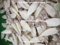 Whole Cleaned Squid IQF - Loligo edulis - Loligo spp - Mực ống nguyên con làm sạch