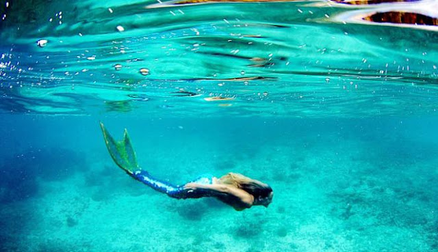 Resmi Di Buka, Kelas Berenang Dengan Sensasi Bak Ikan Duyung Resmi Di Buka, Kelas Berenang Dengan Sensasi Bak Ikan Duyung