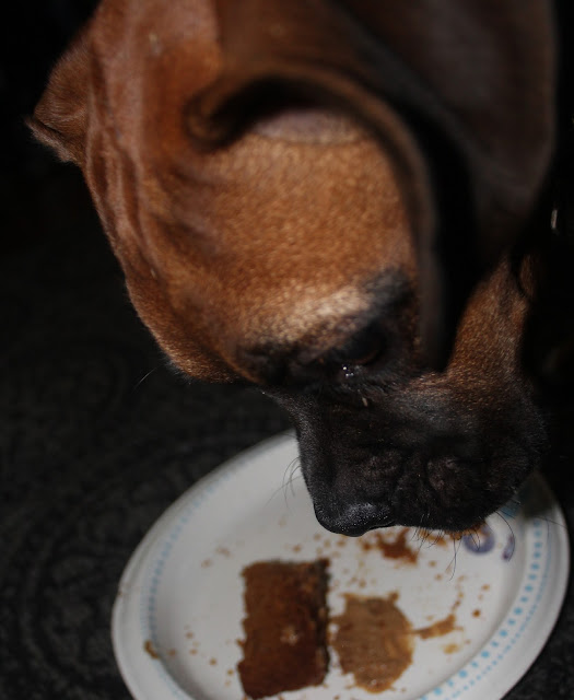 Dog Madness Peanut Butter Dog Cake