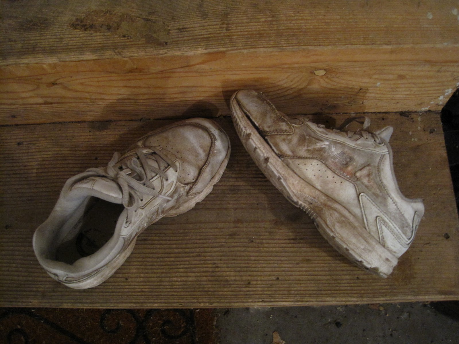 Enjoying My Garden: Back in the Garden...