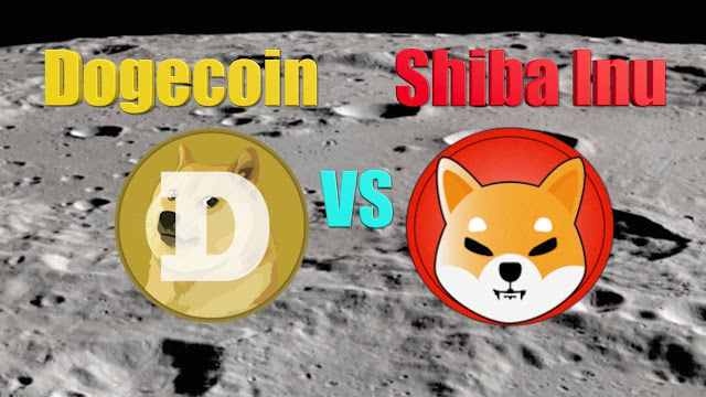 Dogecoin Vs Shiba Inu, Which Option Is Best, Where to Invest in 2022?