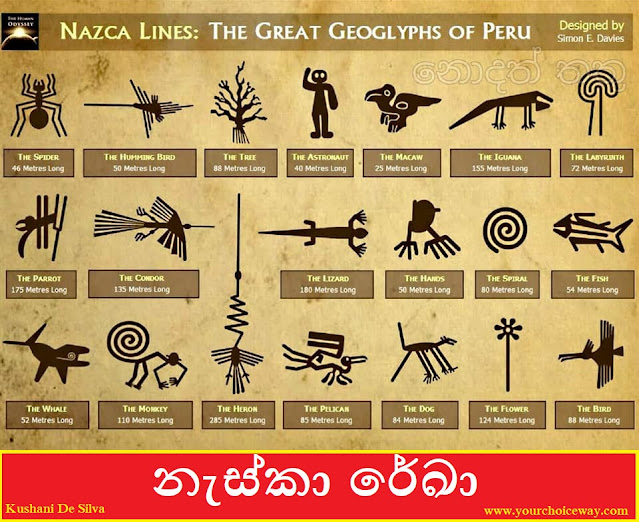 නැස්කා රේඛා (Nazca Lines) 💐📚✍️✍🧝🌞 - Your Choice Way