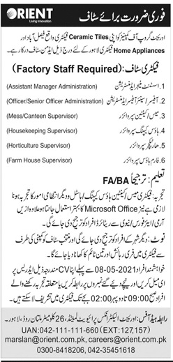 jobs for F.A students