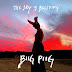 Biig Piig - The Sky Is Bleeding EP Music Album Reviews