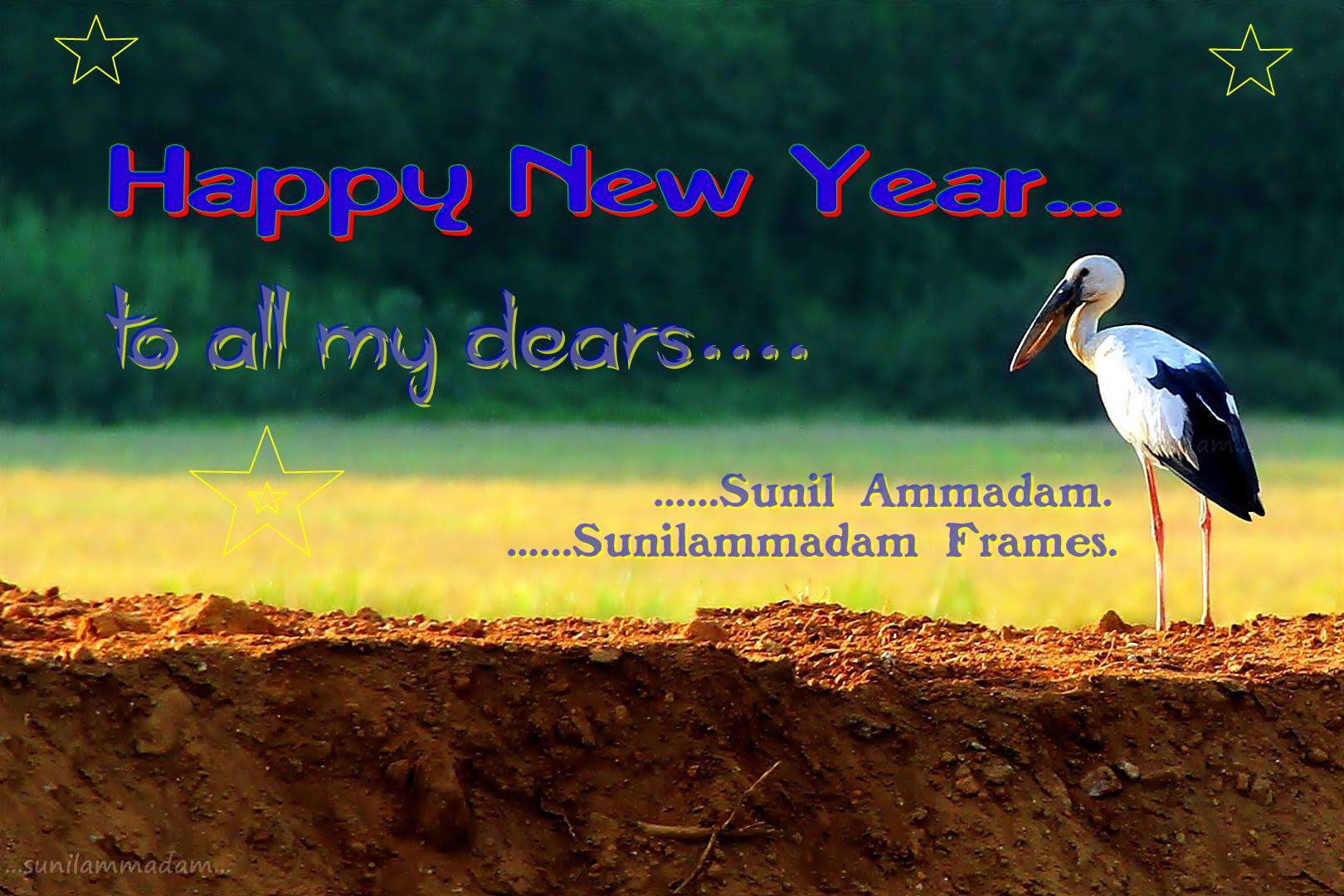New Year's Day Wishes for Whatsapp New Year's Day Wishes for Whatsapp
