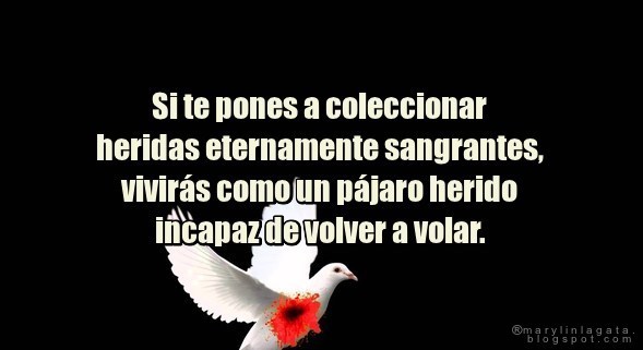 La Soledad Nostalgia