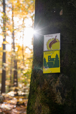 Pfälzer Keschdeweg | Etappe 2 Annweiler bis Albersweiler | Wandern Südliche Weinstraße | Wandern Wasgau 05