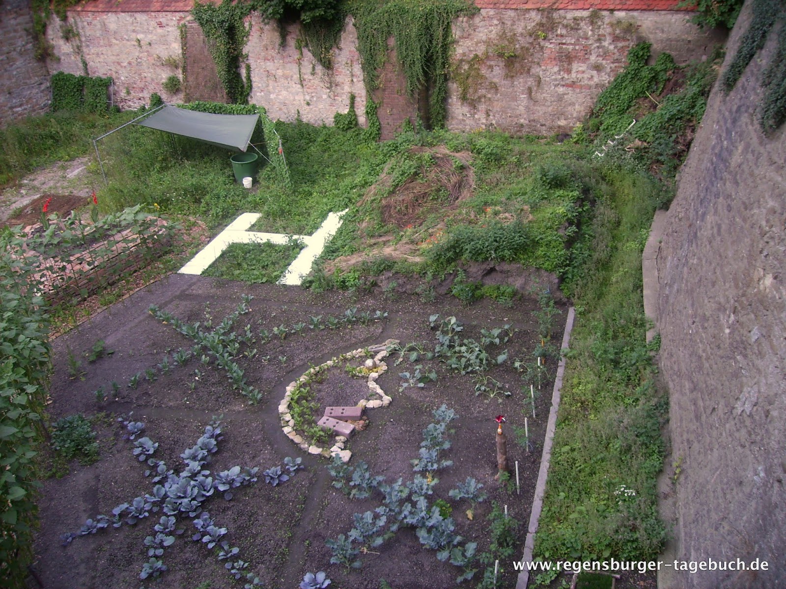 Regensburger Tagebuch Amaro Ameise der berühmte Gärtner von Regensburg
