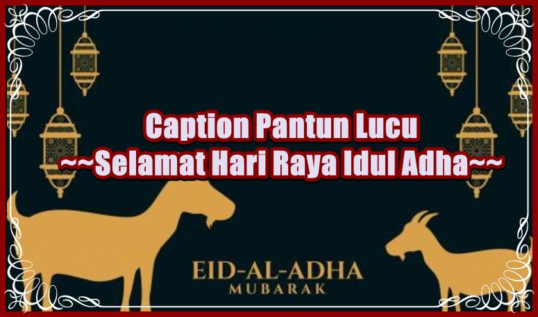 caption lucu ucapan selamat hari raya idul adha - kanalmu