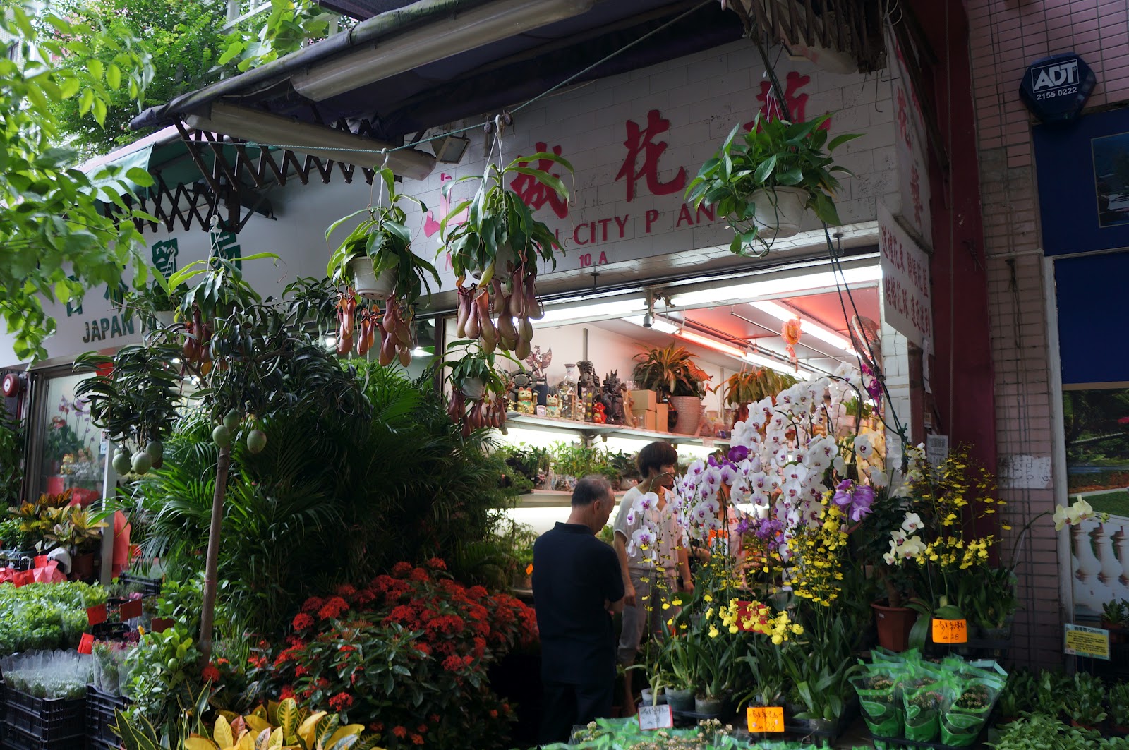 HongKong 香港 flower market