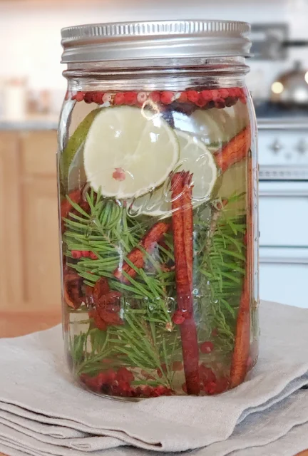 cinnamon sticks, lime peels and berries in mason jar