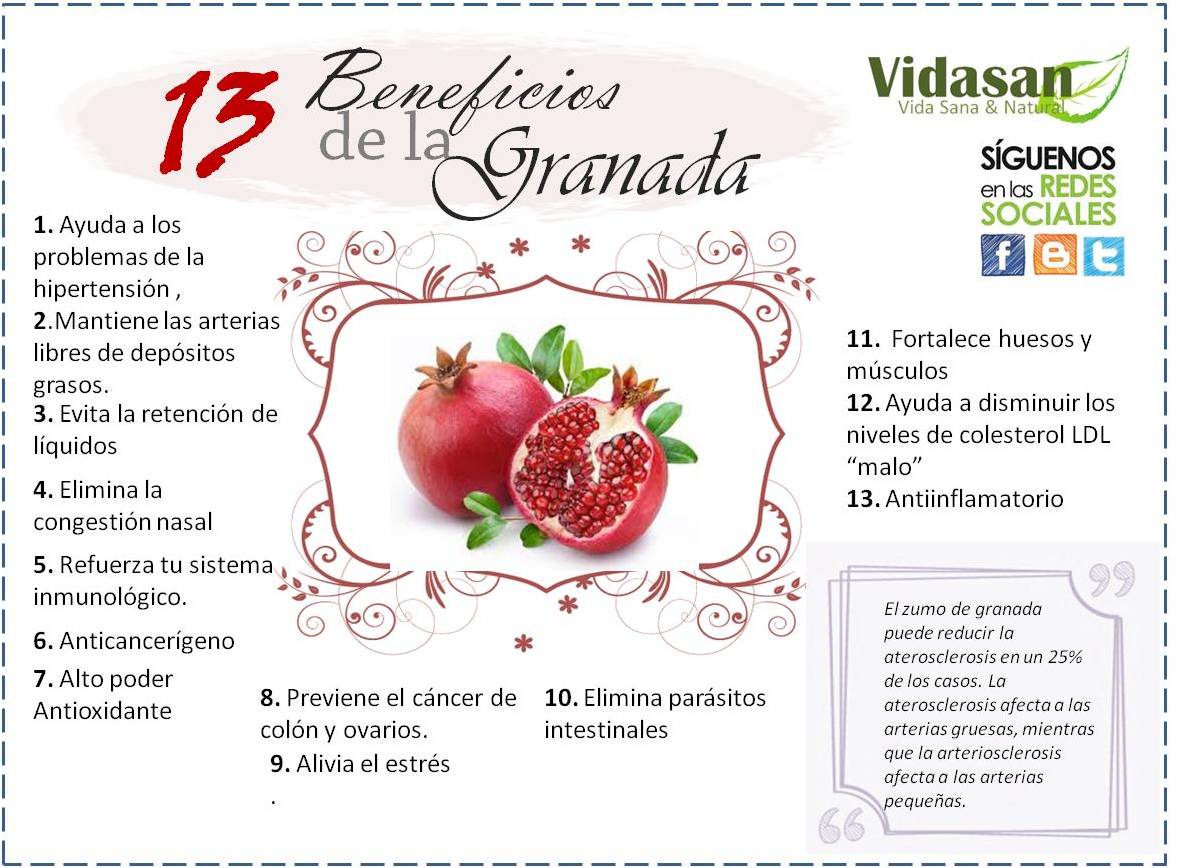 SomosVidasan Los 13 beneficios de la Granada