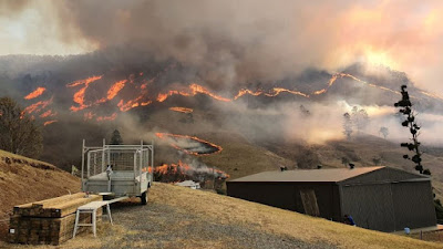 Hay 575 mil hectáreas calcinadas en Australia por incendios forestales