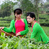 Chữ ký số Viettel và Kê khai bảo hiểm xã hội Viettel tại tỉnh Thái Nguyên