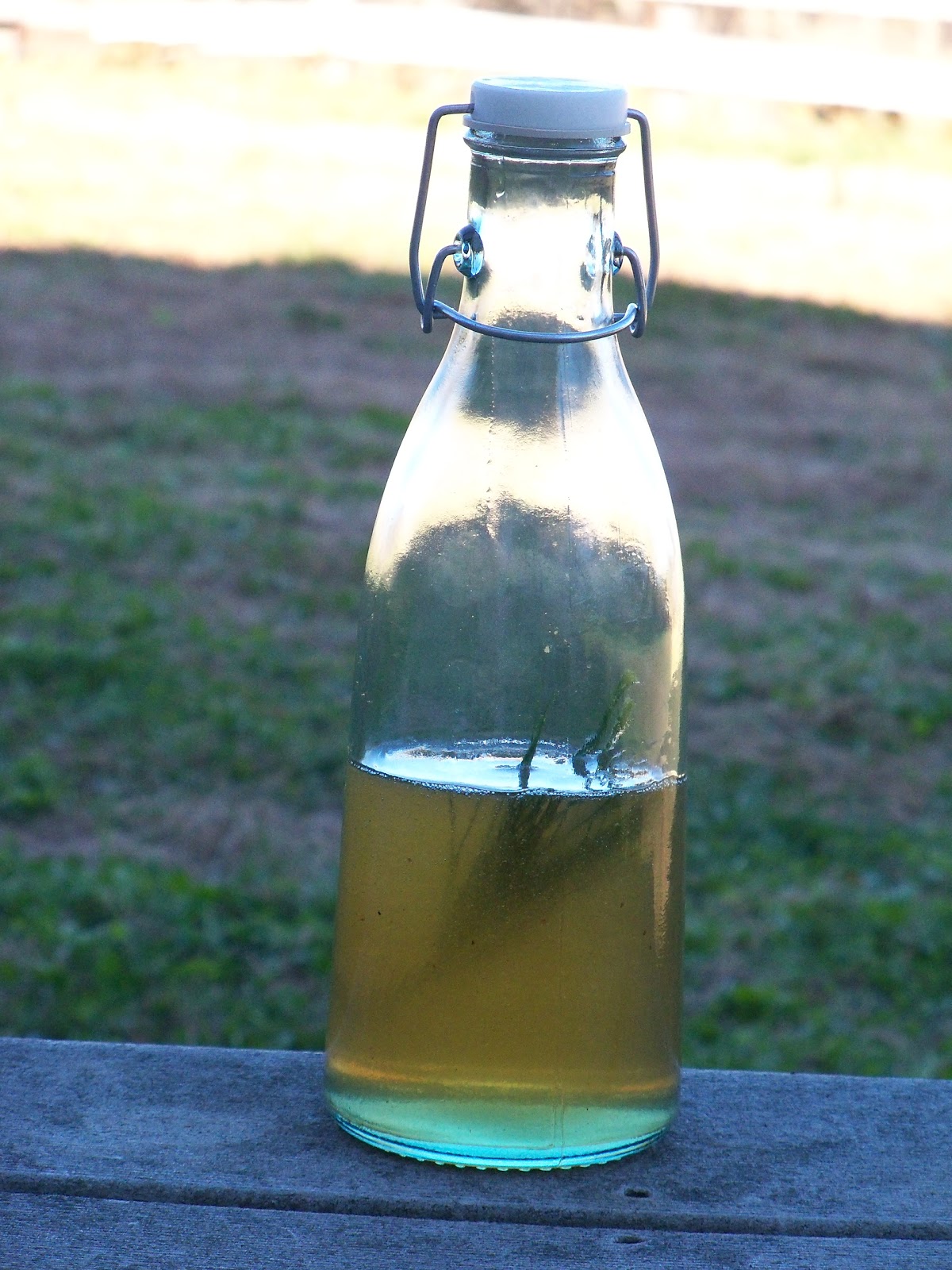 Plant Journeys Herbal Simple Syrups Easy, Delicious Gifts!