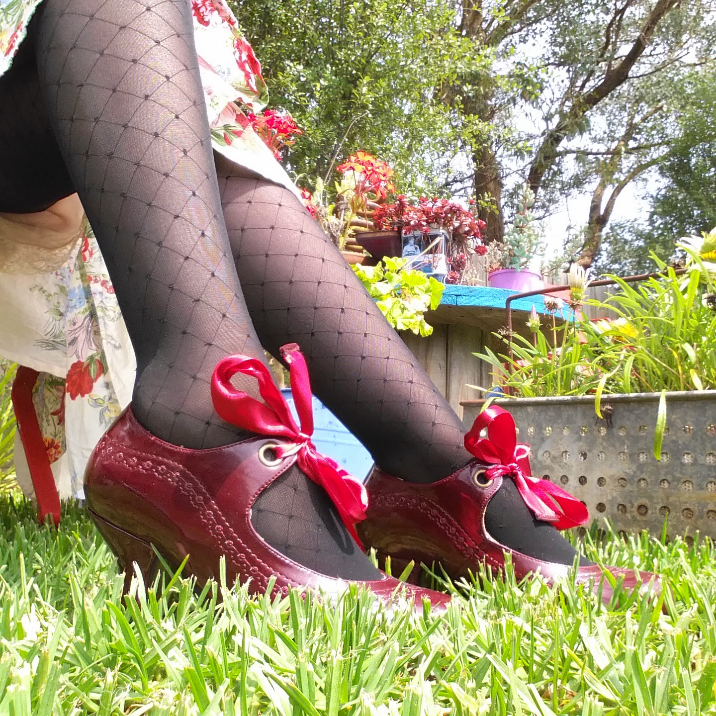 Living with Bob (Dysautonomia) Compression Stocking Review Sigvaris