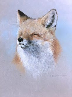 Mr Fox in watercolour