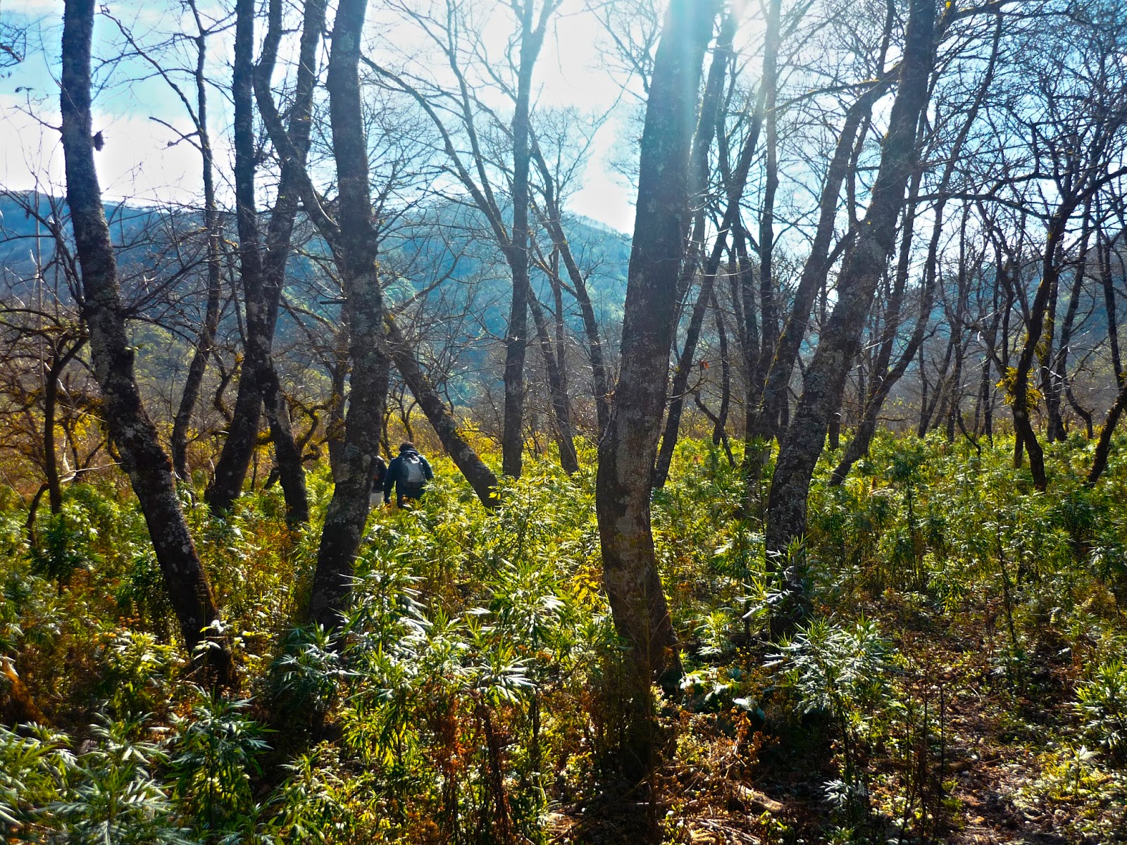 Parque Provincial Potrero de Yala Mi Jujuy