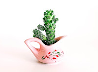 Photo by Stephanie Harvey on Unsplash A pink ceramic pot with a handle with a green cactus in it. Photo by Stephanie Harvey on Unsplash.