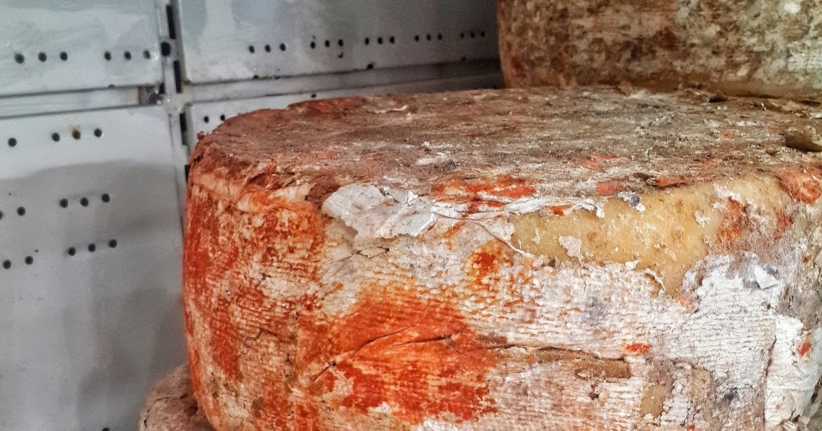 Peyniri Bebek Muamelesi ile Büyüten ŞehirKARS birgülün lezzetleri