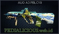 AUG A3 PBLC19