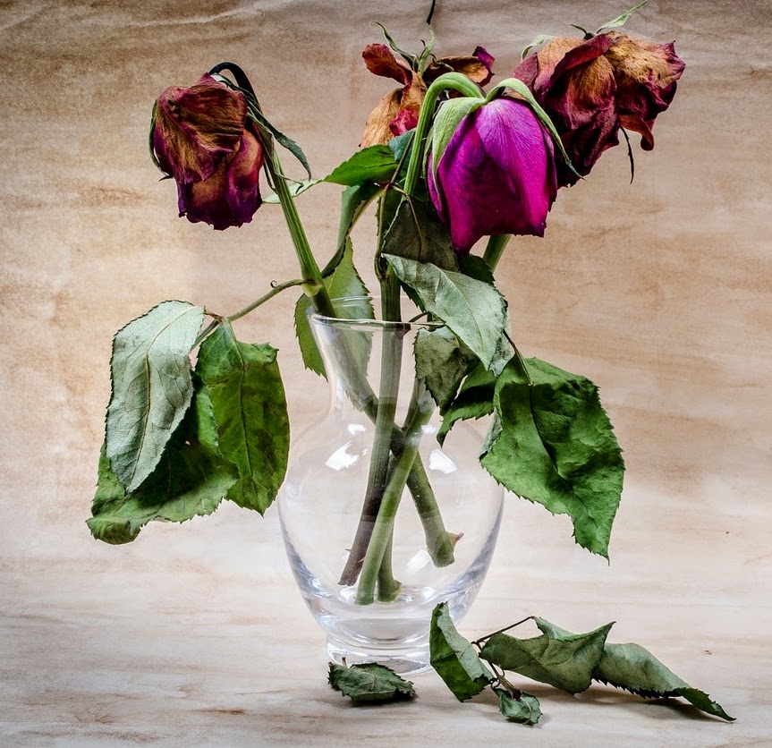 Culture Witness May 2015