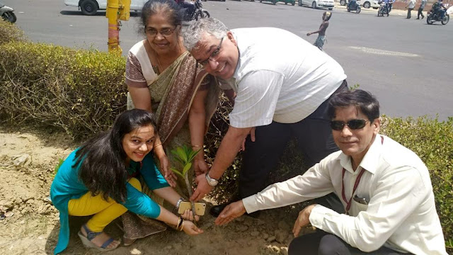 Tree Plantation drive - World Environment Day - 5th June 2019 Tree Plantation drive - World Environment Day - 5th June 2019
