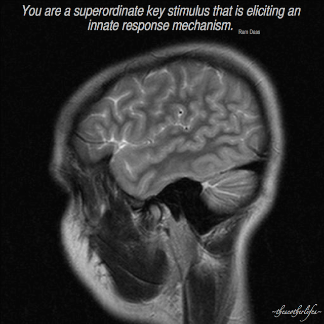 You are a superordinate key stimulus that is eliciting an innate response mechanism. - Ram Dass