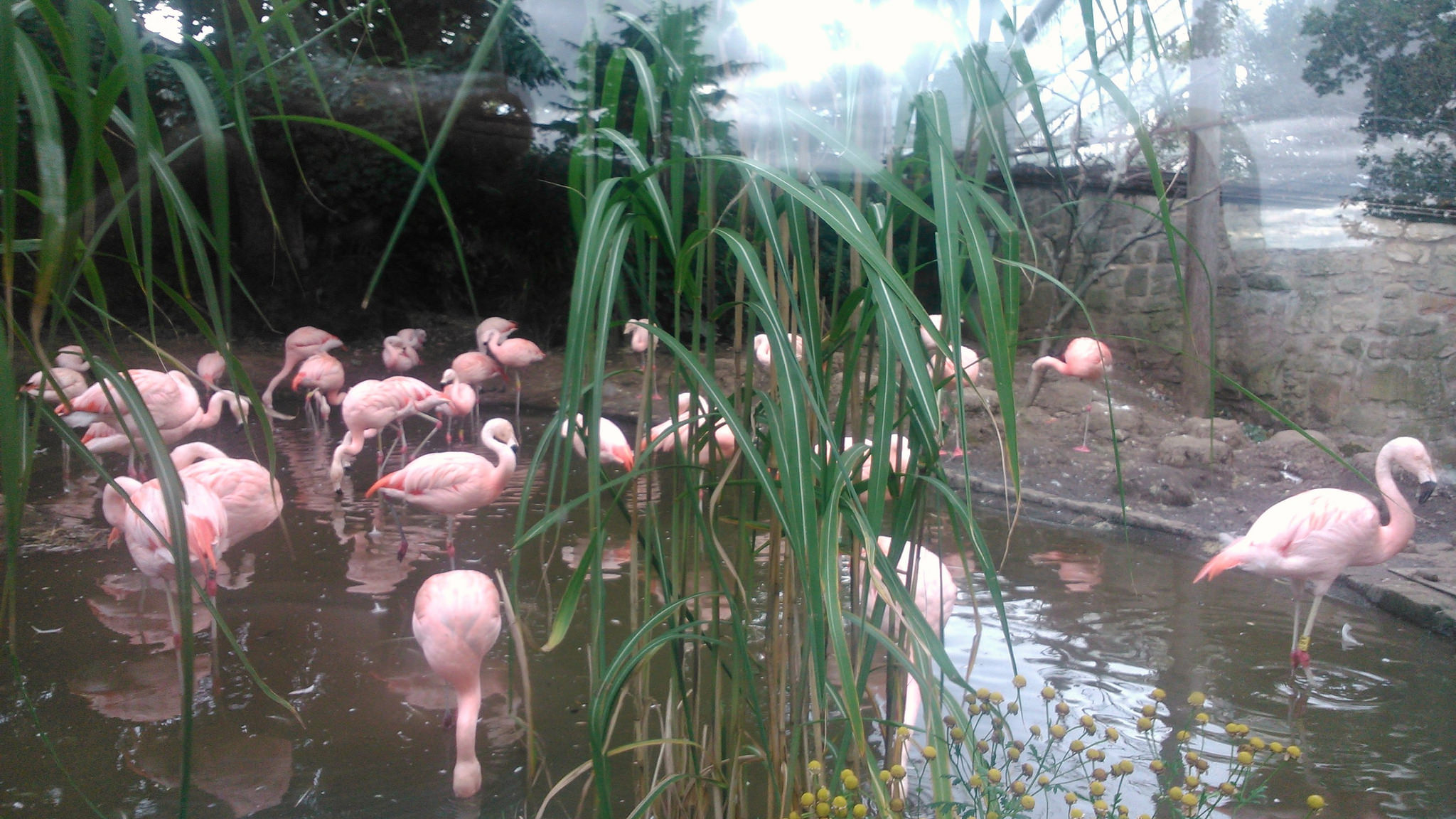 Edinburgh Zoo, Scotland, UK (with Map & Photos)