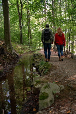 Drei-Täler-Tour und Stadtrundgang Bad Harzburg  Wandern im Harz  Eckerstausee - Radauwasserfall 12