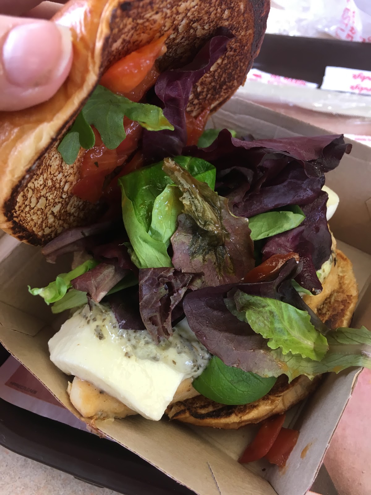 Adorable Fluff Wendy's Mozzarella Chicken Sandwich Review.