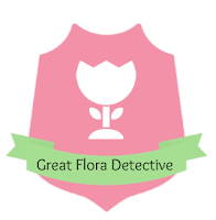 ROCK THE BLUE PLANET: Turning another flat activity into a super