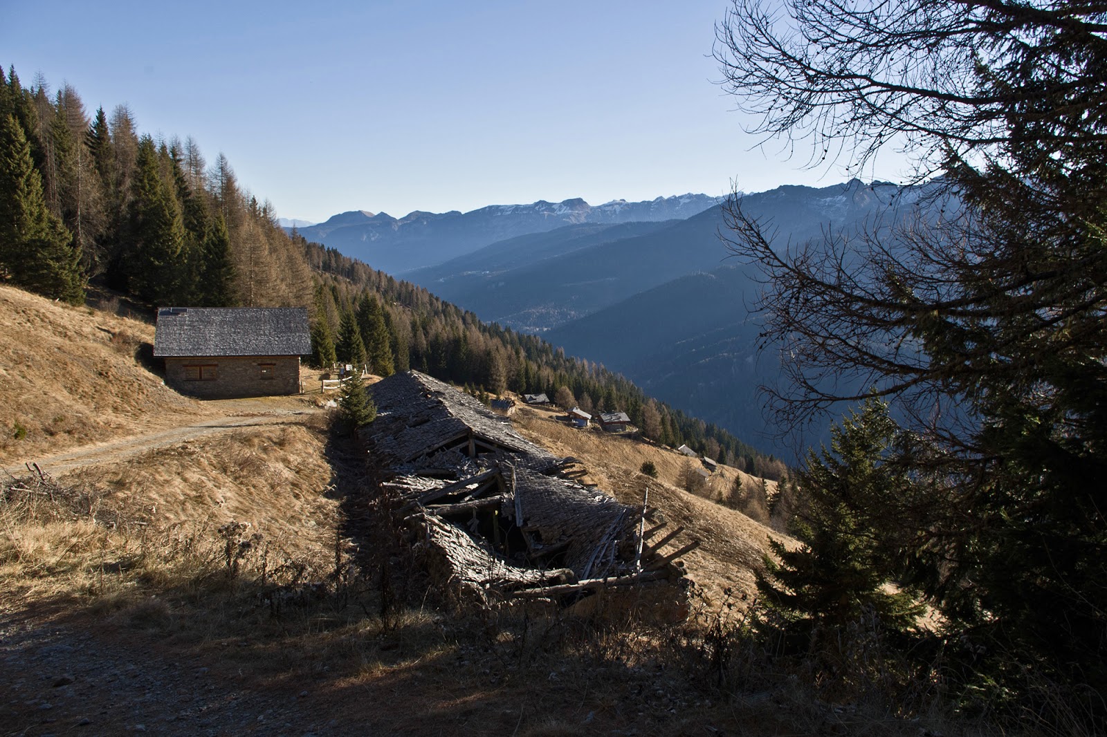 4 passi in val di sole: gennaio 2016