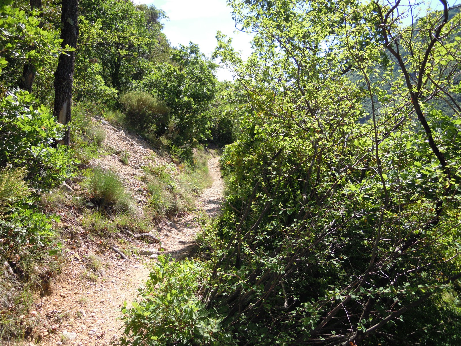 Bezi Real Gal Beznar Valle De Lecrin Pages Directory