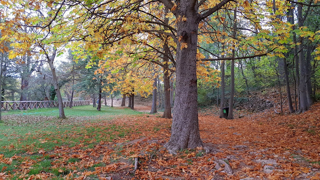 Paseo de la Olmeda - Monasterio de Piedra 