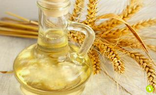 Unti e Bisunti Gli Oli Vegetali Parte Uno  olio germe grano