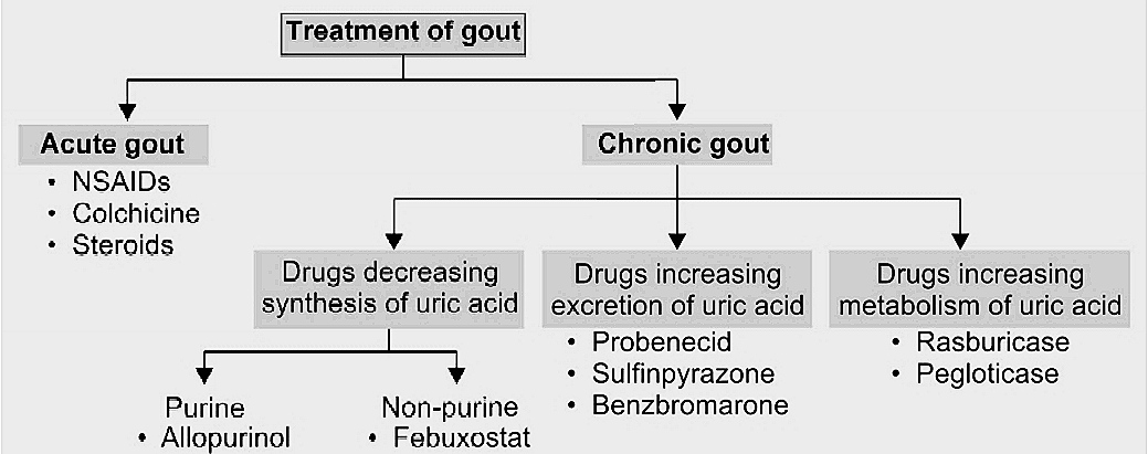 Gout| Treatment of gout|Pharmacology of Gout