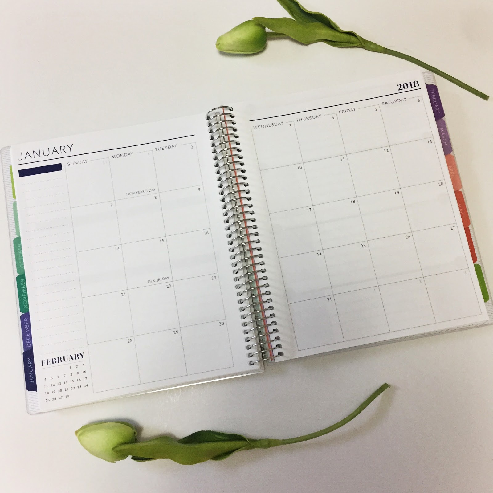 The Best Planner for Law School + Free Promo Code! The Legal Duchess