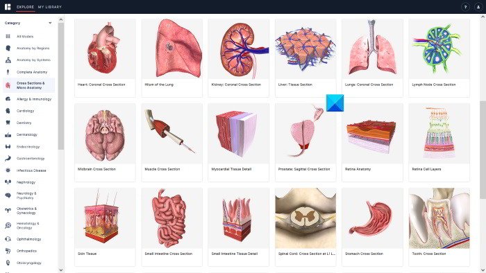 Application web d'anatomie bionumérique