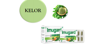 daun kelor tanaman kaya manfaat untuk kebutuhan nutrisi