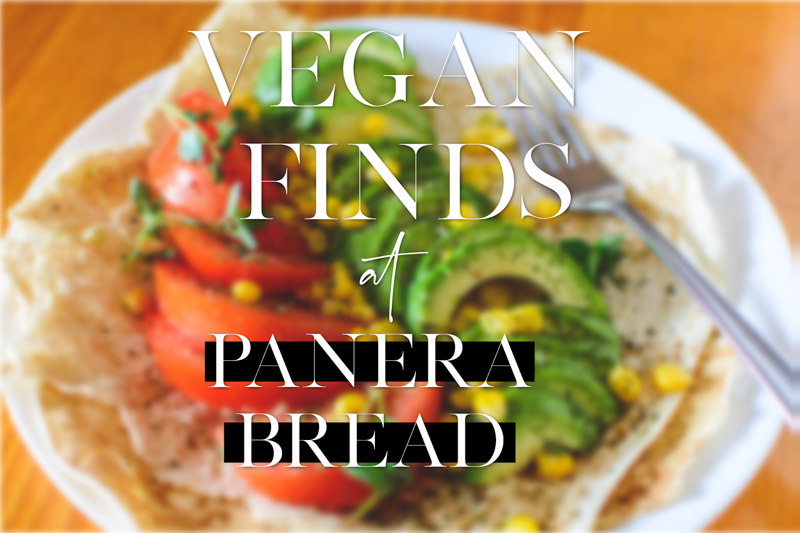 Vegan Finds Panera Bread — LATISHA DE'CRUISA