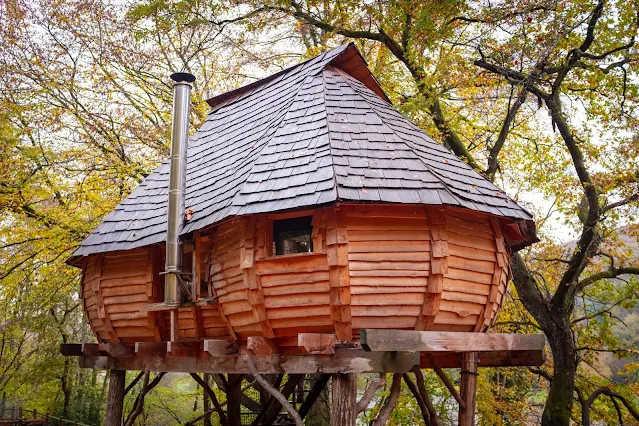 5 Things You Need to Know Before Building a Treehouse